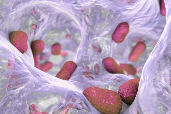 Bakterien Acinetobacter baumannii inuti biofilm — Stockfoto