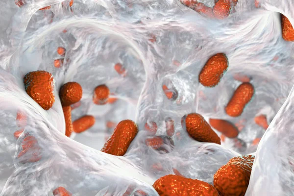 Bacterium Acinetobacter baumannii inside biofilm — Stock Photo, Image