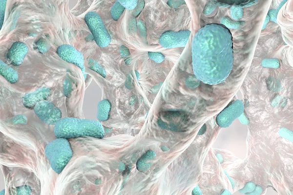 Bakterien Acinetobacter baumannii inuti biofilm — Stockfoto