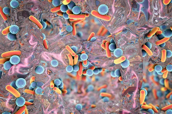 Biofilm av antibiotikaresistenta bakterier — Stockfoto