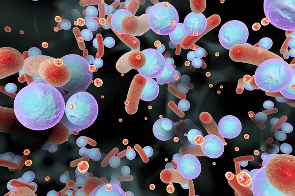Biofilm de bacterias resistentes a los antibióticos —  Fotos de Stock