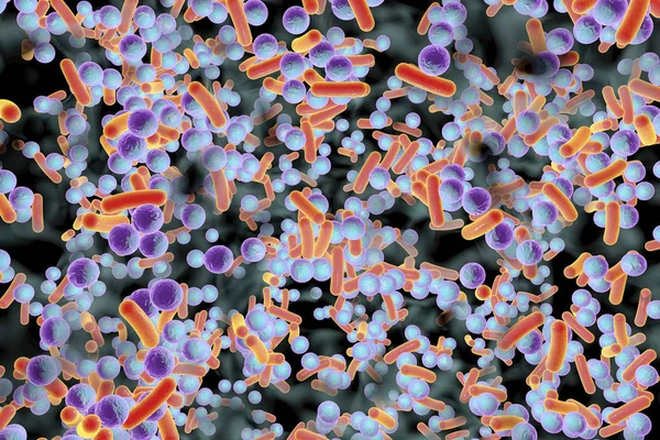 Biofilm of antibiotic resistant bacteria — Stock Photo, Image