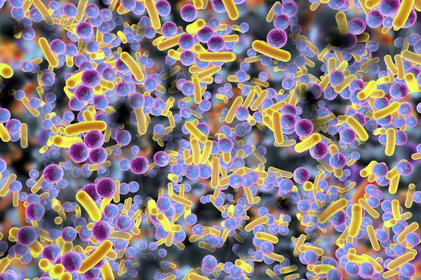 Biofilm de bacterias resistentes a los antibióticos — Foto de Stock