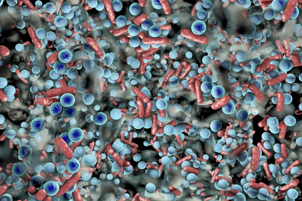 Biofilme de bactérias resistentes a antibióticos — Fotografia de Stock