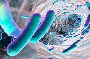 Biyofilm antibiyotik dirençli bakteri