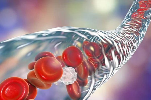 流动的红细胞与白细胞与血管 — 图库照片
