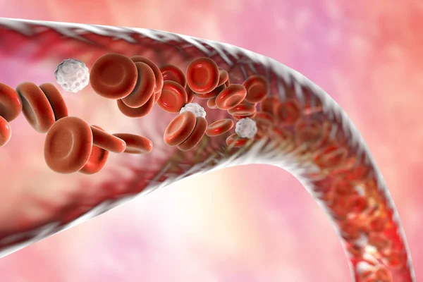Céva s tekoucí erytrocyty a leukocyty — Stock fotografie