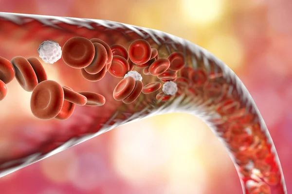 Vaso sanguíneo con eritrocitos y leucocitos que fluyen — Foto de Stock