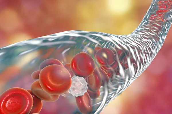 Bloedvat met vloeiende erytrocyten en leukocyten — Stockfoto