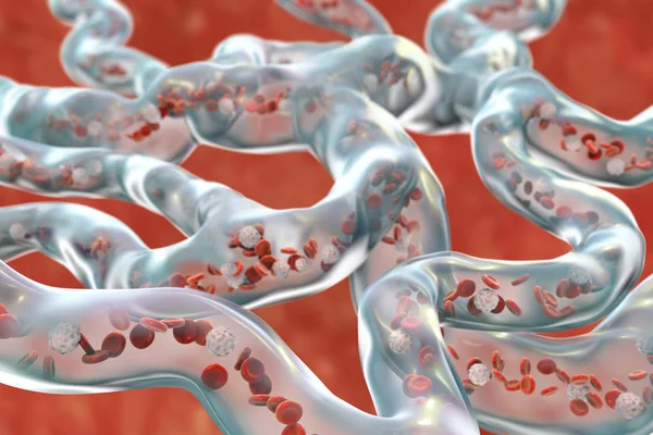 流动的血液细胞的血管 — 图库照片