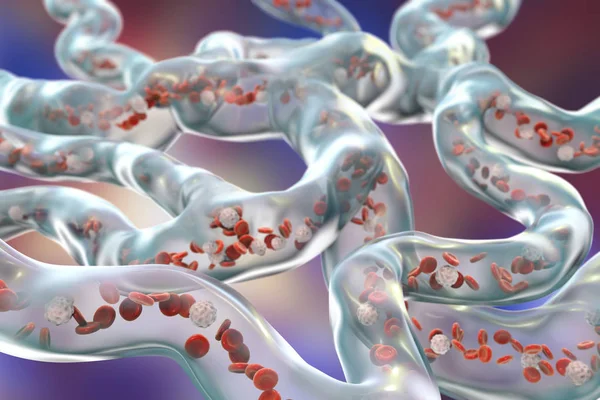 흐르는 혈액 세포와 혈관 — 스톡 사진
