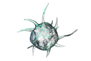 Parazit, patojen mikrobu