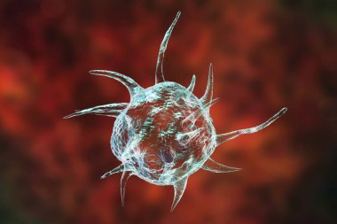 Parazit, patojen mikrobu