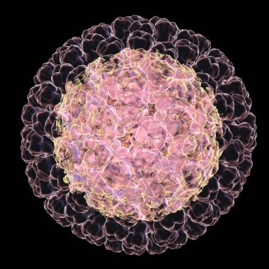 Siyah arka plan üzerine izole Rotavirüs