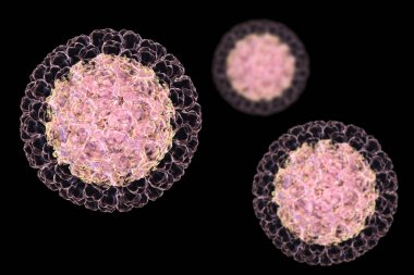 Siyah arka plan üzerine izole Rotavirüs