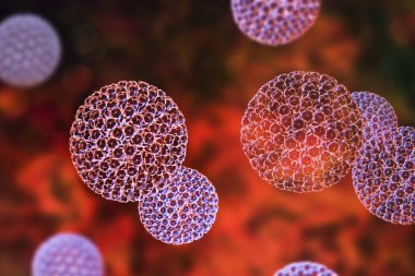 Rotaviruses renkli arka plan üzerinde