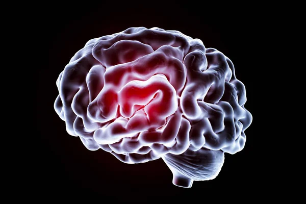 Cerebro humano, ilustración — Foto de Stock
