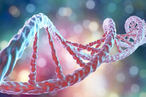 Double helix DNA — Stockfoto