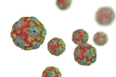 Saliviruses, mide iltihabı neden olan virüs yeni bir cinsi