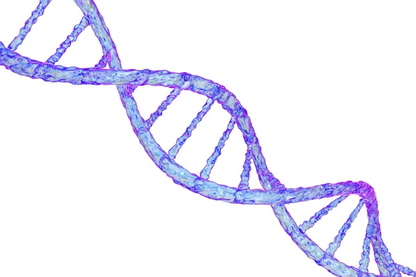 Dvojité šroubovice DNA — Stock fotografie