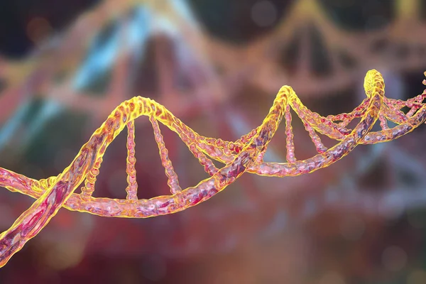 Doppelhelix von dna — Stockfoto