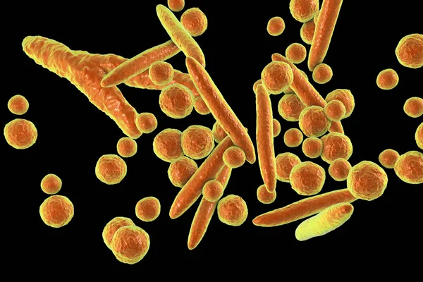 Mikoplazma bakteri, illüstrasyon — Stok fotoğraf