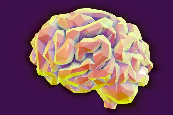 Cérebro humano baixo-poligonal — Fotografia de Stock