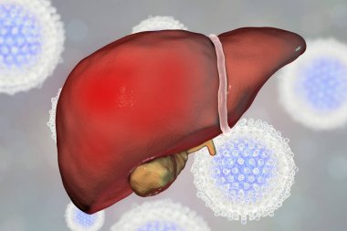 Karaciğer Hepatit C virüsü, hepatit C enfeksiyonu ve yakın çekim Manzaralı