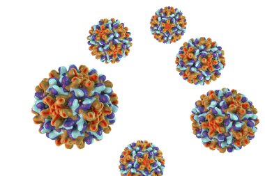 Beyaz arka plan üzerinde izole Heptitis B virüsü