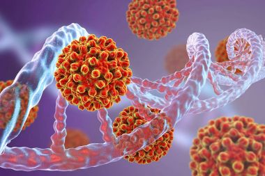 Heptitis B virüs ve Dna molekülü