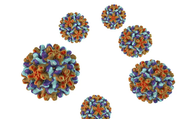 白い背景に分離された Heptitis B ウイルス — ストック写真