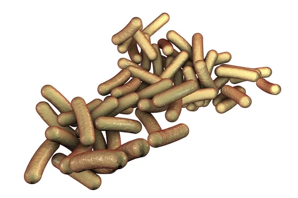 Bacterias Shigella que causan la infección transmitida por los alimentos shigelosis —  Fotos de Stock