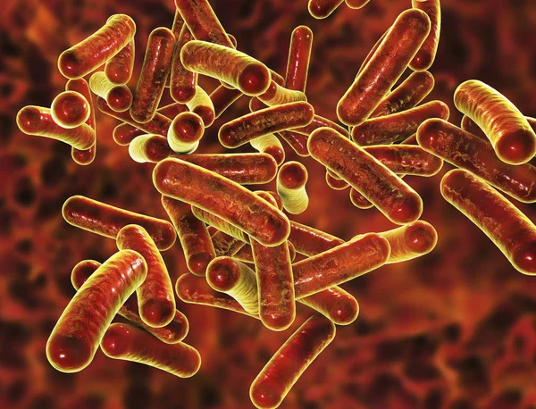 Batteri Shigella che causano l'infezione alimentare shigellosi — Foto Stock