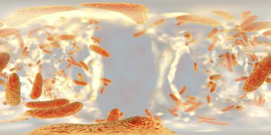 Biyofilm antibiyotik dirençli bakteriler Klebsiella içinde küresel panorama görünüm