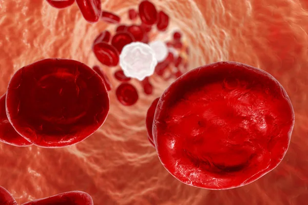 Inside blood vessel — Stock Photo, Image