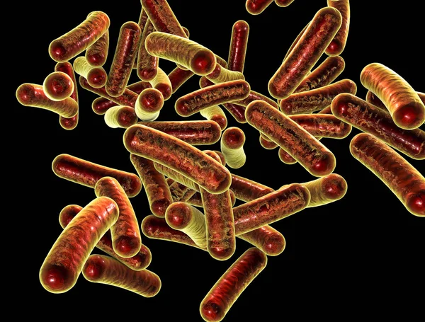 Bakterien-Shigellen, die lebensmittelbedingte Infektionsshigellose verursachen — Stockfoto