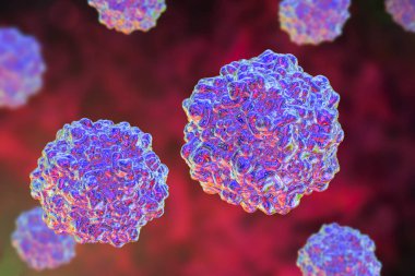 Domuz parvovirus illüstrasyon