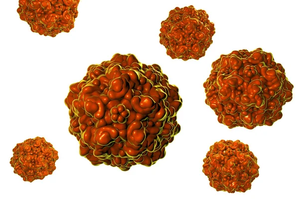 Porcine parvovirus illustration — Stock Photo, Image