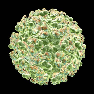 Sindbis virus, and RNA alphavirus clipart