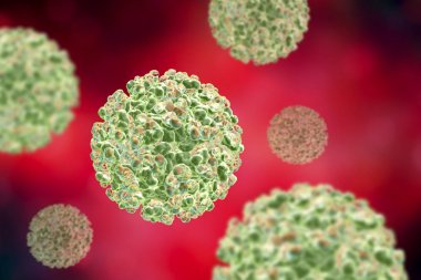 Sindbis virüs ve Rna alphavirus