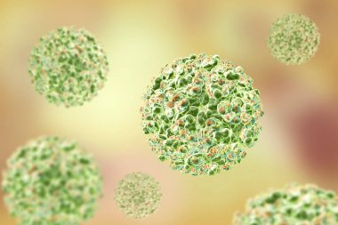 Sindbis virüs ve Rna alphavirus