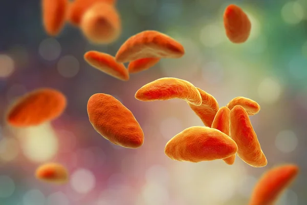 Paraziter protozoa Toxoplasma gondii