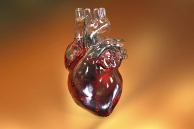 Renkli arka plan üzerinde insan kalbi