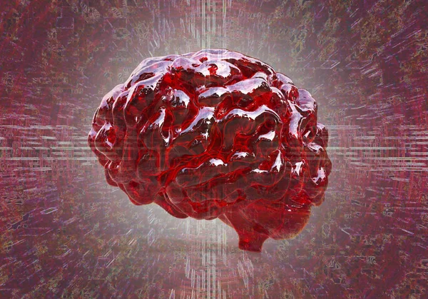 人間の脳の図 — ストック写真