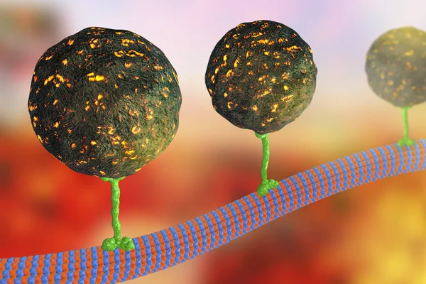 Trasporto intracellulare, molecole di trasporto delle proteine della cinesina che si muovono attraverso i microtubuli — Foto Stock