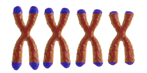 Kısalma, kavramsal 3d çizim telomer — Stok fotoğraf