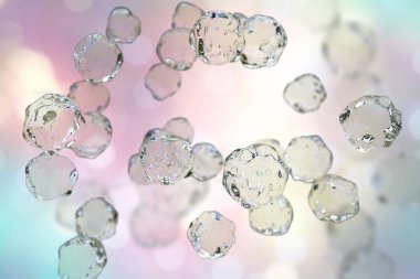 Sıvı molekülleri, illüstrasyon