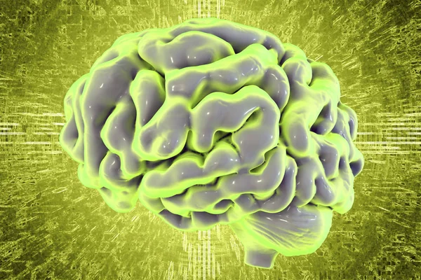 Cérebro humano sobre fundo colorido, ilustração 3D — Fotografia de Stock