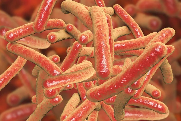 Bacterias Mycobacterium tuberculosis — Foto de Stock