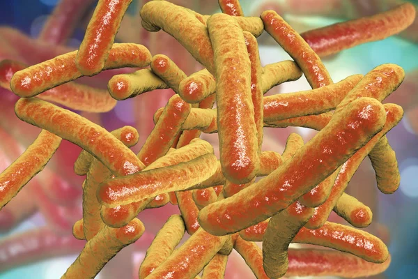Bacterias Mycobacterium tuberculosis —  Fotos de Stock